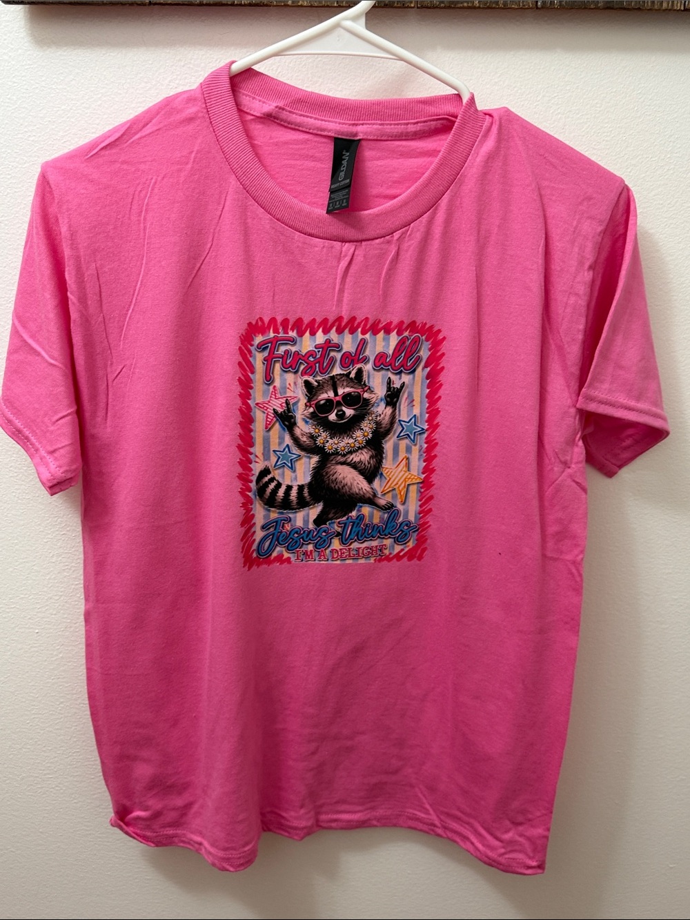 Gildan graphic t-shirt "First of all, Jesus thinks I'm a delight"